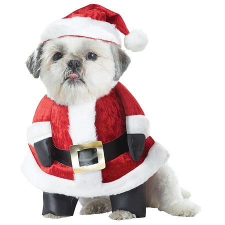 Santa Paws Pet Costume