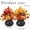 A, variant on Clearance Sale | Polyresin Pumpkin and Maple Leaf Table Centerpiece, Fall Farmhouse Home Decor, B