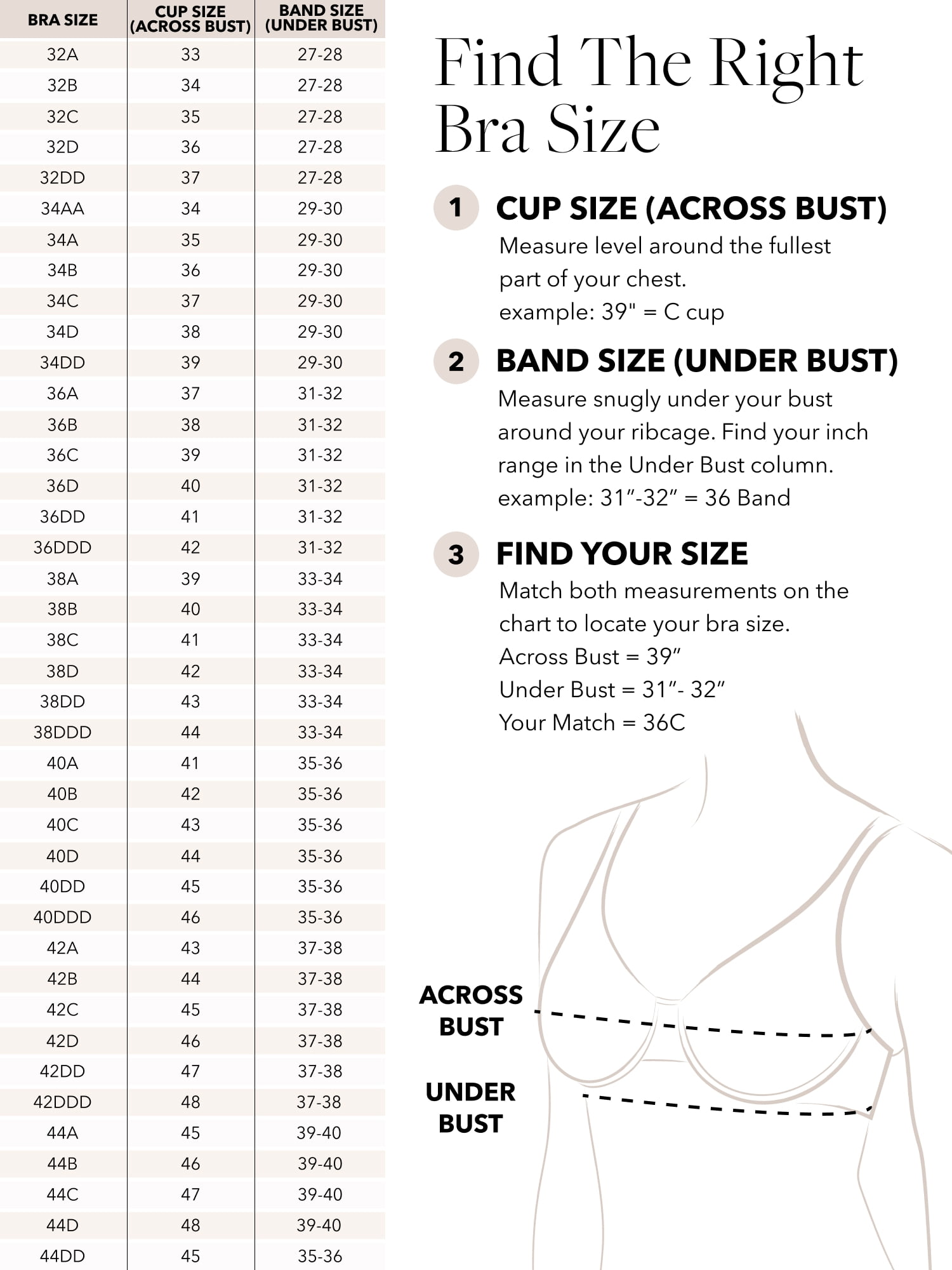 Joyspun Women's Lace Push Up Bra, Sizes 34A-40D