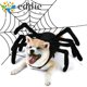 thumbnail image 2 of 26EDIE Dog Disfraz De Araña De Halloween , Traje Cosplay Para Perros Suaves Negros , Decorativo Con Cinta Mágica Simulación Corta De Felpa Gato Vestir, 2 of 4