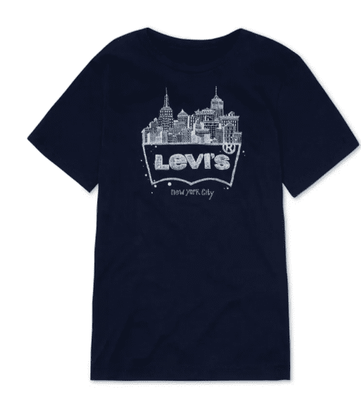 Levis Little Boys New York Graphic T-Shirt: 6/Obsidian 