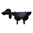 thumbnail image 1 of 603e2727e4b95921371d32ce blank Dog, 1 of 8