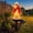 Colorful, variant on American Eagle Garden Statue with Solar Light, Outdoor Decor Sculpture, Perfect for Patio, Yard, Porch, Balcony, Sculptures Statues Outdoor, Yard & Lawn Figurine, Bald Eagle Gift for Men