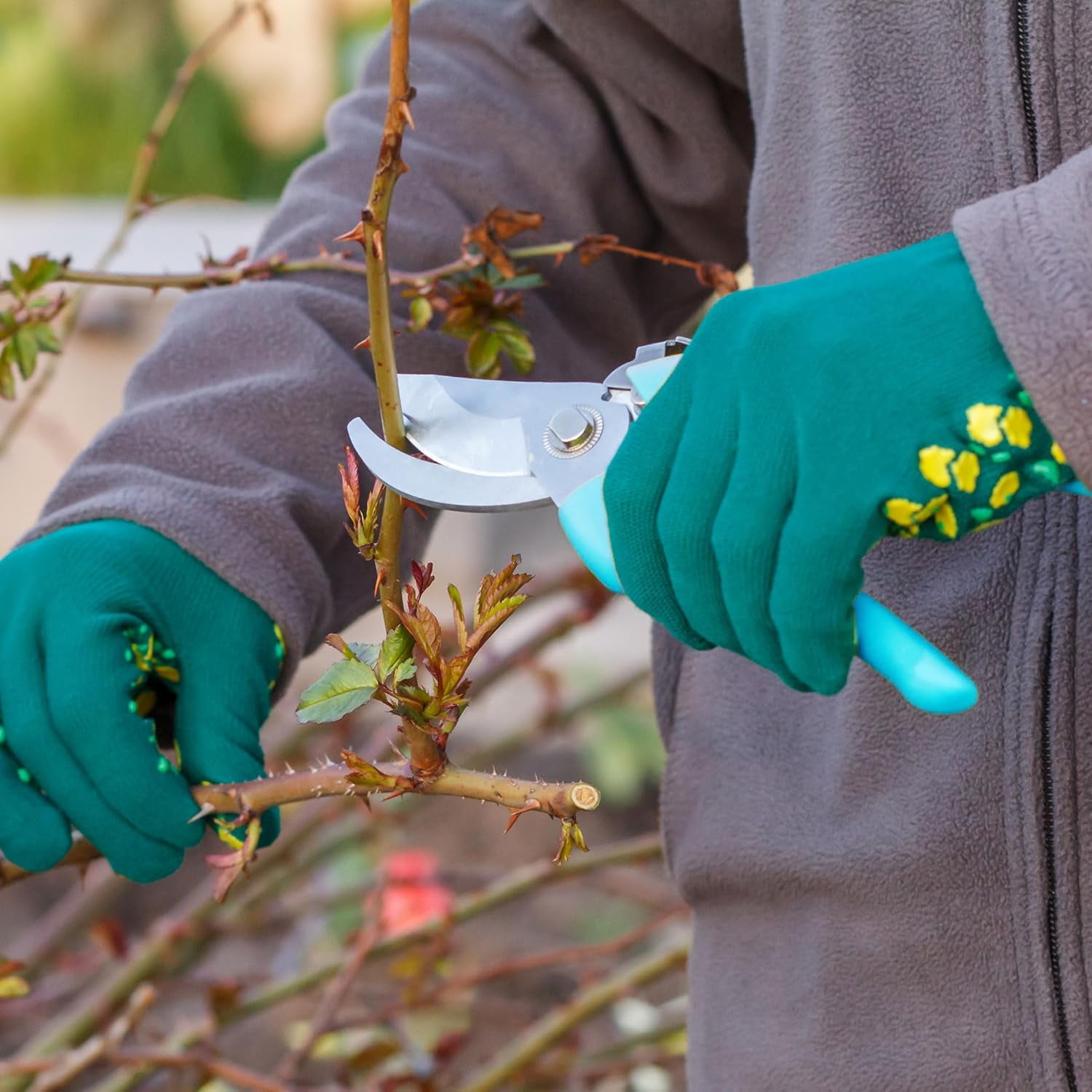 30 Garden Flower Shears Pruning Scissors Heavy Duty Plant Scissors Trimming Garden Clippers Hand Tree Pruner for Yard Gardening Plants Hedge Flower Tree Cutting Secateurs