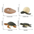 thumbnail image 3 of Qaailabf Cheap Stuff 4 Piece Insect Figure Life Cycle Plastic Brood to Period, 3 of 3