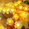 thumbnail image 4 of LED Plumeria Flower String Lights,Foam Artificial Plumeria Flower Light,USB Powered Fairy Lights for Indoor Bedroom Home Wedding Hawaiian Luau Party Decor (20FT 40LED), 4 of 8