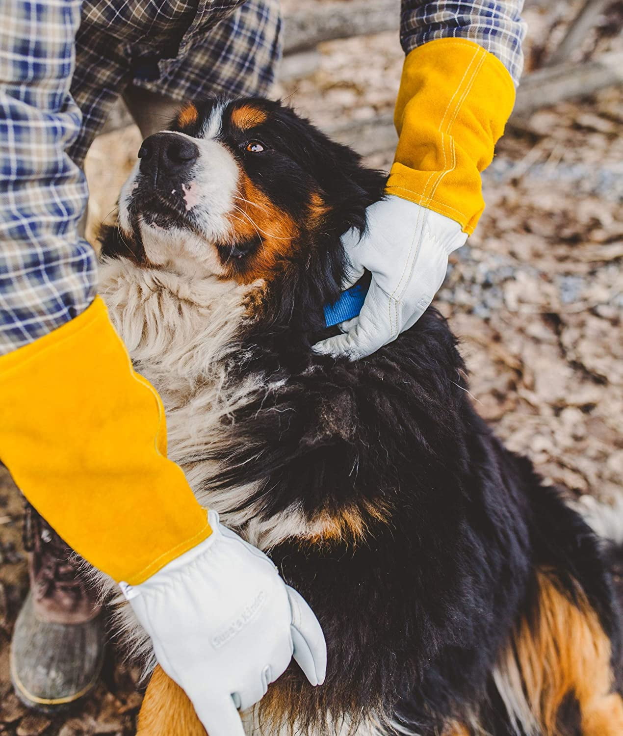 Animal Handling Work Gloves - For Falconry, Dog, Hawk, Cat, Bird and Raptor Handling - Anti Scratch Leather and Kevlar (XS)