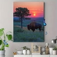 thumbnail image 4 of Qisvanset 12x16 Inch Framed Canvas Wall Art Sunset Tree Side American Bison Landscape Home Canvas Wall Art, 4 of 8