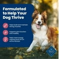 thumbnail image 4 of Blue Buffalo Life Protection Formula Adult Dry Dog Food, Salmon & Brown Rice Recipe, 4 of 10