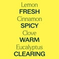 thumbnail image 3 of Plant Therapy Organic Fighter Essential Oil Blend 100% Pure, Undiluted, Natural Aromatherapy 10 mL (1/3 oz), 3 of 8