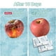 thumbnail image 4 of Paquetes absorbentes de gas etileno Wisesorb de 30 x 5 g para frutas y verduras, 4 of 7