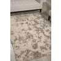 Nourison Amore Modern Cobblestone 3'11" x 5'11" Area Rug, (4x6)