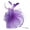 Purple, variant on WTXUE Headbands for Women, Headpiece Party Flapper Headband Pearl Bridal YP Great Headband, hair clips, 1# Red