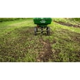 thumbnail image 4 of Turf Builder Quick+Thick Grass Seed - Sun and Shade Mix, 4 kg, 4 of 7