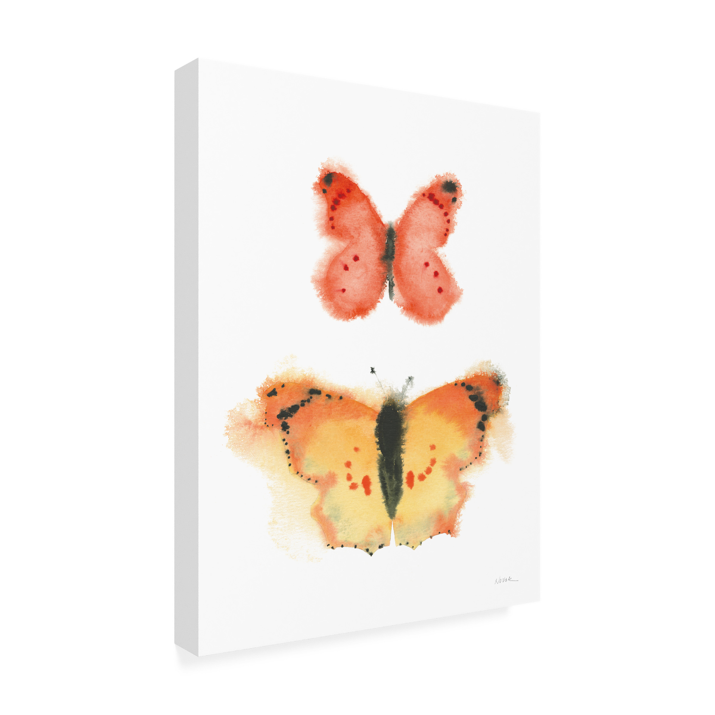 Trademark Fine Art 'Watercolor Butterflies IV' Canvas Art by Shirley Novak