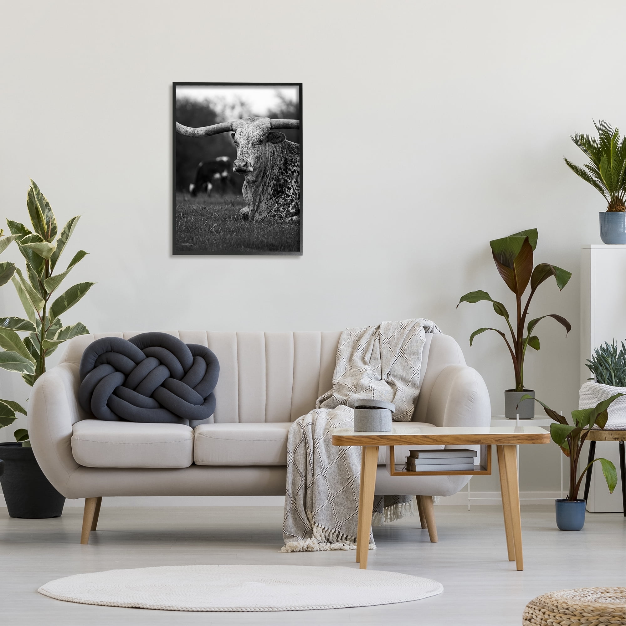 Stupell Industries Resting Longhorn Photography Animals & Insects Photography Black Framed Art Print Wall Art, 24 x 30