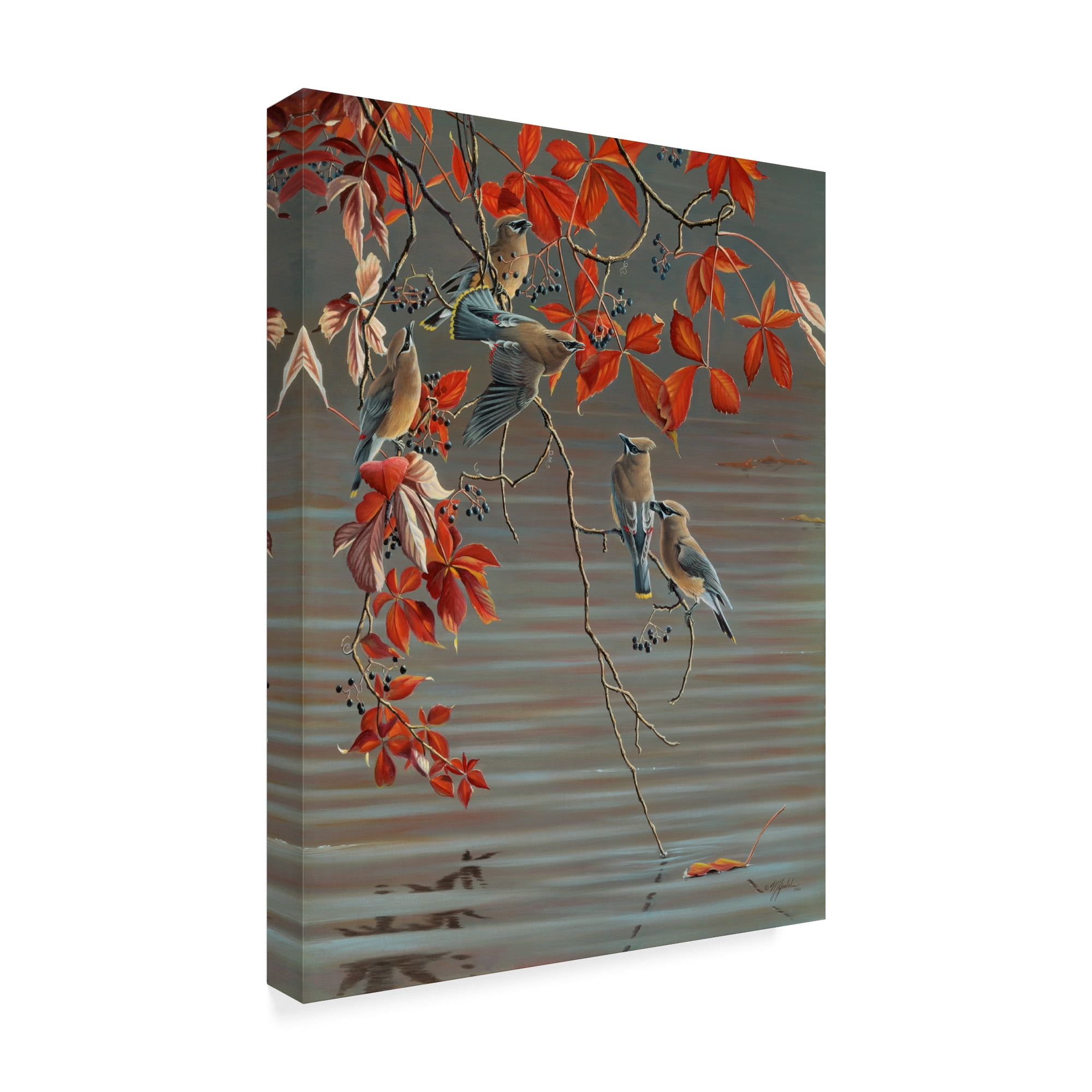 Trademark Fine Art 'Autumn Harvest Cedar Waxwing' Canvas Art by Wilhelm Goebel