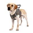 thumbnail image 1 of Arnés para perros con asa para perros medianos y grandes, entrenamiento para caminar, chale Abanopi Aprovechar, 1 of 7