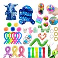 thumbnail image 1 of SUNSIOM Press Type Decompression Toy Kit, Stress Relief Toys Set for Child, 1 of 6