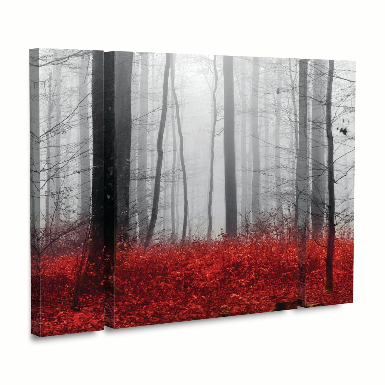 Trademark Fine Art 'Little Red Carpet' Canvas Art by Philippe Sainte-Laudy