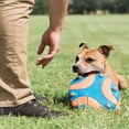 thumbnail image 4 of Volante Chuckit Azul con Silbato para Perro, 4 of 4