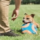 thumbnail image 4 of Volante Chuckit Azul con Silbato para Perro, 4 of 4