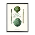thumbnail image 2 of Stupell Industries Botanical Nature Study Artichoke Vegetation Diagram Drawings White Framed Art Print Wall Art, 16x20, by World Art Group, 2 of 5