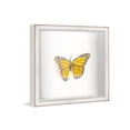 thumbnail image 6 of 40x29 Shadow Box Frame Silver | 1.625 Inches Deep Real Wood Contemporary Shadowbox Display Frame |, 6 of 7