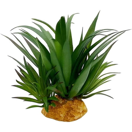 Reptile Artificial Plants Succulent Terrarium Decorative Desert Rainforest Plant Lizard Beard Chameleon Gecko Snake Amphibious Sea Turtle Tank Accessory (Agave-Set)