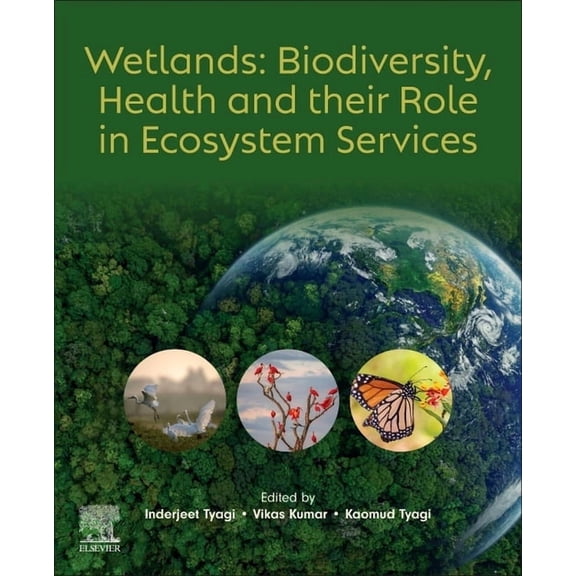 Wetlands: Biodiversity, Health and Their Role in Ecosystem Services, (Paperback)