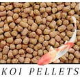 thumbnail image 2 of BEST Koi Goldfish Fish Food Floating Pond Pellets Medium or Lrg *CHOOSE*, 2 of 3
