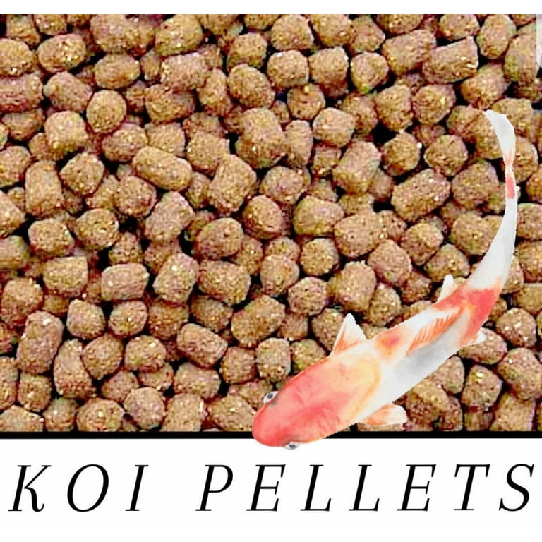 BEST Koi Goldfish Fish Food Floating Pond Pellets Medium or Lrg CHOOSE