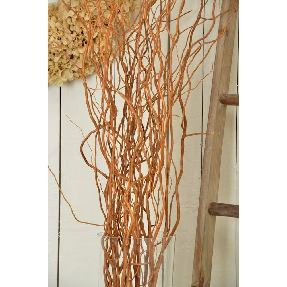 Dried Natural Light Brown Curly Willow Branches for Arrangements (Long