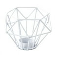 thumbnail image 4 of GROWTH TANK Day Light Metal Cage Easy Install Wrought Iron Ceiling Light Cover Bulb Cage, 4 of 9