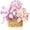 Violet 201pcs, variant on Mini Flowers Building Block Set,Flower Blocks Toys,Plants and Succulent Toys,Building Block Flowerpot,Botanical Collection Birthday Gift for Girls Boys Adults (Violet 201pcs)