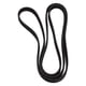 thumbnail image 1 of Cinturón Serpentino, Profesional 7PP903137 Caucho para Automóvil, 1 of 7