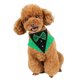 thumbnail image 2 of Collar de bandana ajustable para perro con pajarita de Bufanda triangular de San Patricio Verde Negro L perfecl, 2 of 8
