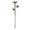 C, variant on Outdoor Garden Bird Bath & Feeding Station Stake Feeder & Waterer Birds Feeder Stand for Feeders for outside Apartment Feeder Octagon Feeder Squirrel Cactus Feeder Feeders That Are Squirrel Proof
