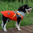 thumbnail image 2 of Lucoss Winter Dog Coat with integrated harness No Pull Cold Weather Waterproof Warm Fleece Back Zipper for Small & Medium Dog, 2 of 5