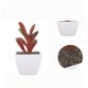 thumbnail image 4 of Pot Carr Sincero Plastique Pour Plantes Succulentes Ensemble De 6 Pices, 4 of 5