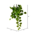 thumbnail image 2 of Vickerman 18" Artificial Pothos Hanging Bush, Set of 3, 2 of 3