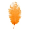thumbnail image 2 of YardChic Colorful Ostrich Feathers, Feathers for Crafting, Fluffy Decorative Plumes for Wedding Flower Arrangement, Stage Backdrop, Clothing Costume DIY, Home Party Art Decor, Dream Catcher Supplies, 2 of 2