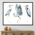 thumbnail image 2 of Designart 'Portrait Of Heron Birds II' Traditional Framed Canvas Wall Art Print, 2 of 5