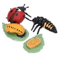 thumbnail image 3 of Ladybug Kit, Vinyl Material Life Cycle Figurines Soft Firm  For Kids Education For Party, 3 of 8
