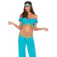 thumbnail image 2 of Leg Avenue Women's Arabian Desert Beauty Princess Halloween Costume, 2 of 4