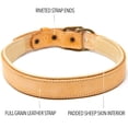 thumbnail image 2 of logical leather padded leather dog collar, pink - m, 2 of 5