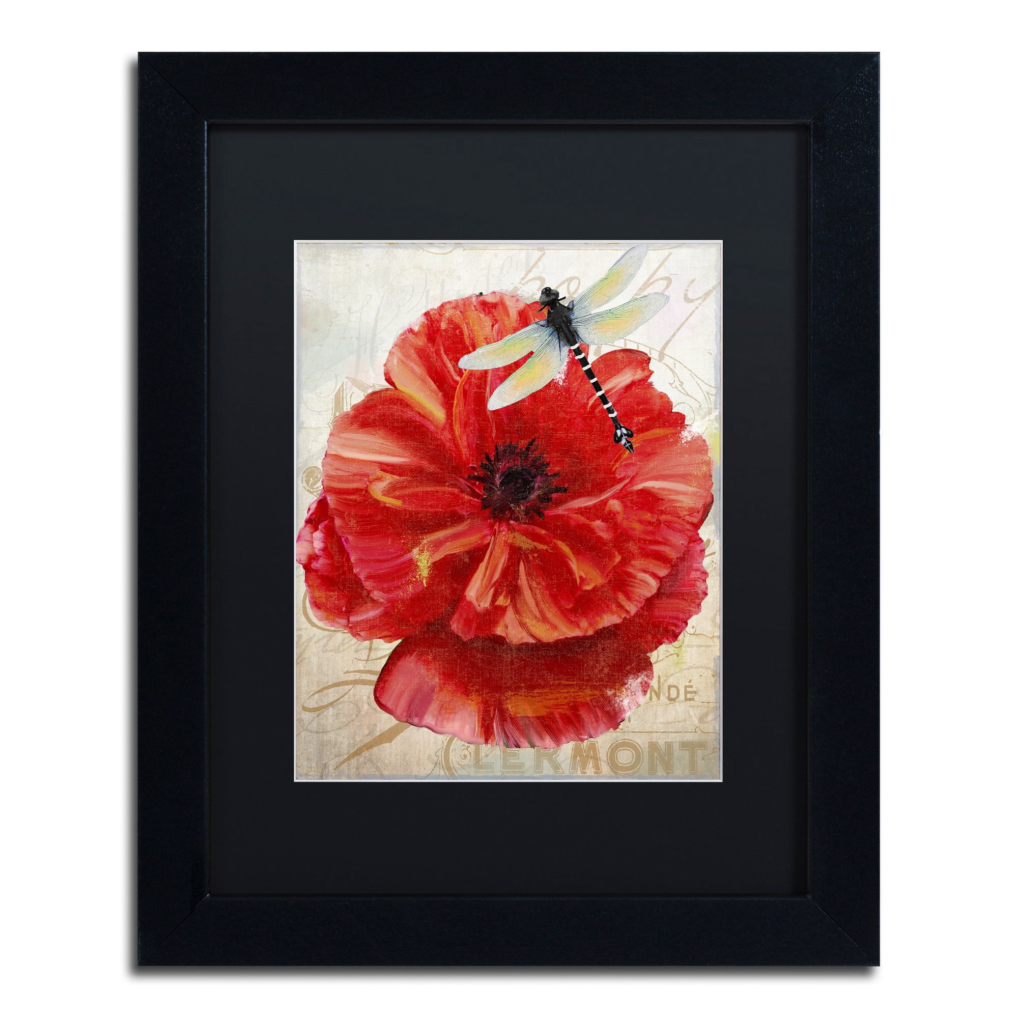 Trademark Fine Art "Le Pavot Dragonfly" Canvas Art by Color Bakery, Black Matte, Black Frame