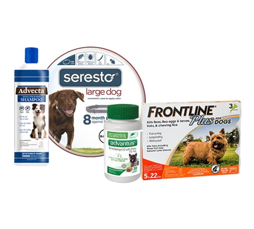 frontline flea walmart