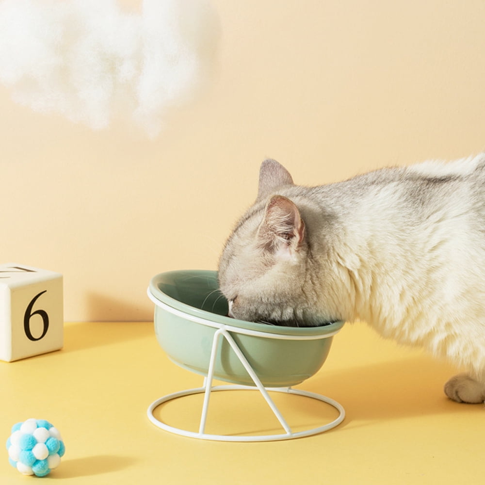 Cat & Dog Feeder with Cervical Spine Protection, Iron Frame Stand Included Ceramic Pet Bowl Set