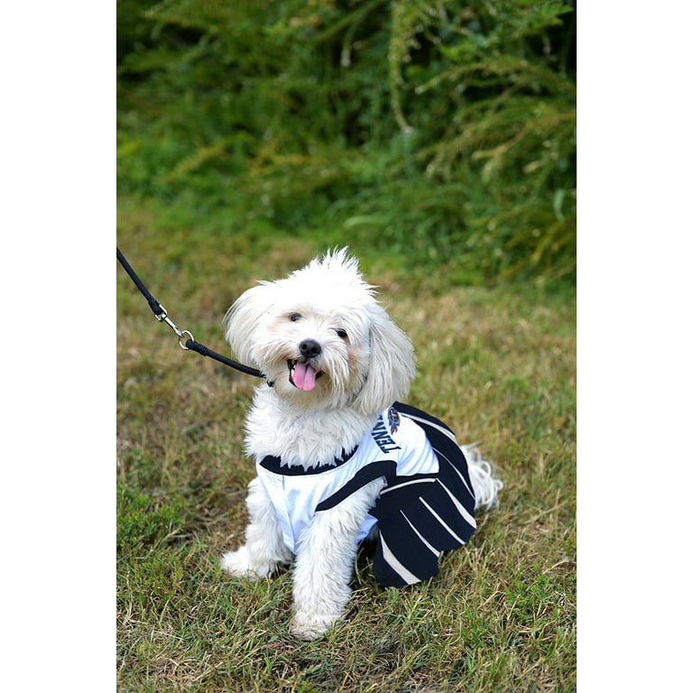 seahawks dog cheerleader outfit